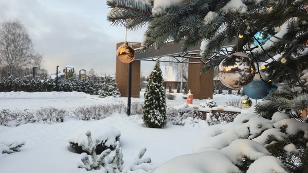 Продам участок 8 соток, ИЖС, поселок Петровское Парк, Большое Петровское д, 45 км от города