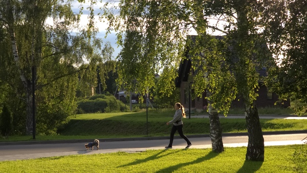 Продам участок 8 соток, ИЖС, поселок Петровское Парк, Большое Петровское д, 45 км от города