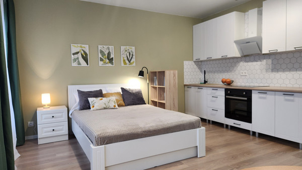 Сдам однокомнатную (1-комн.) квартиру, Главная ул, 10, Новое Девяткино д