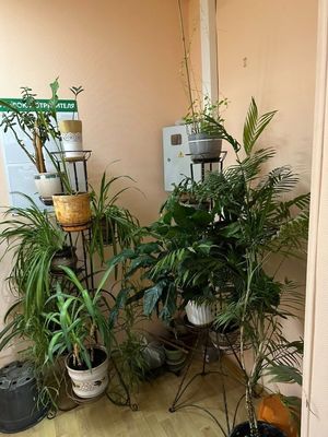 Сдам офисное помещение 44 м2, Дмитровское ш, 25к1, Москва г