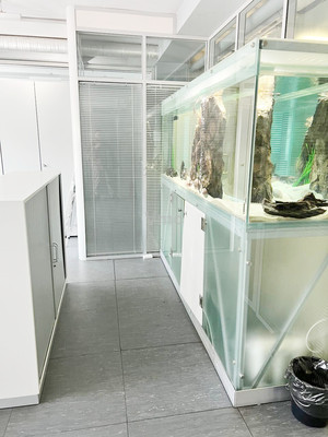 Сдам коммерческое помещение 493,2 м2, Осенняя ул, 17к1, Москва г