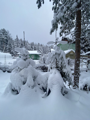 Продам дачу, 193, СНТ Свет массива Форносово тер, 0 км от города