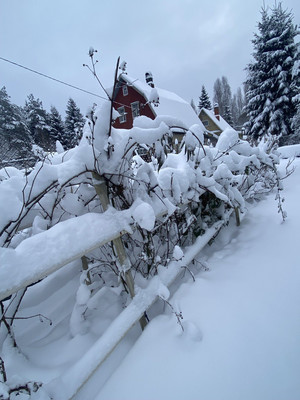 Продам дачу, 193, СНТ Свет массива Форносово тер, 0 км от города