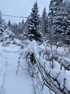 Продам дачу, 193, СНТ Свет массива Форносово тер, 0 км от города