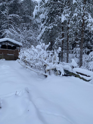 Продам дачу, 193, СНТ Свет массива Форносово тер, 0 км от города