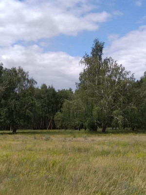 Продам участок 5,18 соток, ИЖС, Сюрпризный (Мебельщик снт) проезд, 22, Армавир г, 0 км от города