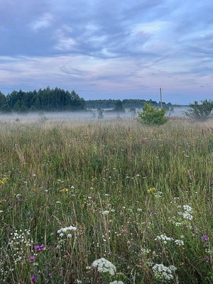 Продам участок 5,18 соток, ИЖС, Сюрпризный (Мебельщик снт) проезд, 22, Армавир г, 0 км от города