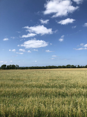 Продам участок 5,18 соток, ИЖС, Сюрпризный (Мебельщик снт) проезд, 22, Армавир г, 0 км от города