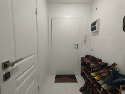 Продам однокомнатную (1-комн.) квартиру, Екатерининская ул, 8к2, Мурино п