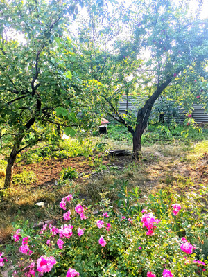 Продам дом, 1-я Киргизская ул, 64, Ростов-на-Дону г, 0 км от города