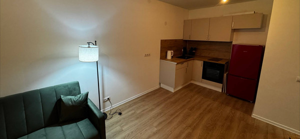 Сдам однокомнатную (1-комн.) квартиру, Лиговский пр-кт, 242, Санкт-Петербург г