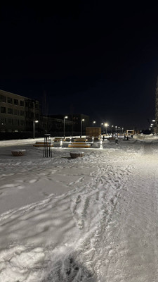 Сдам однокомнатную (1-комн.) квартиру, Лиговский пр-кт, 242, Санкт-Петербург г