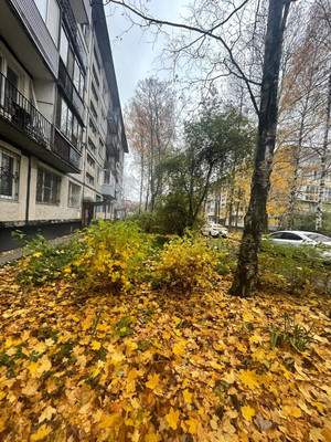 Продам двухкомнатную (2-комн.) квартиру, Альпийский пер, 19Ак1, Санкт-Петербург г