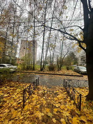 Продам двухкомнатную (2-комн.) квартиру, Альпийский пер, 19Ак1, Санкт-Петербург г