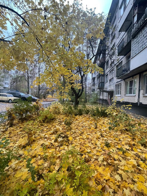 Продам двухкомнатную (2-комн.) квартиру, Альпийский пер, 19Ак1, Санкт-Петербург г