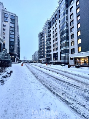 Сдам однокомнатную (1-комн.) квартиру, Приморский пр-кт, 54к2, Санкт-Петербург г