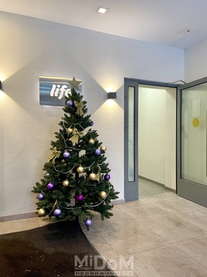 Сдам однокомнатную (1-комн.) квартиру, Приморский пр-кт, 54к2, Санкт-Петербург г