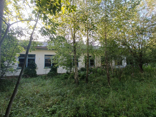 Продам коммерческое помещение 994,4 м2, Центральная ул, 12, Красное п