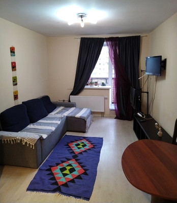 Сдам однокомнатную (1-комн.) квартиру, Металлистов пр-кт, 117, Санкт-Петербург г