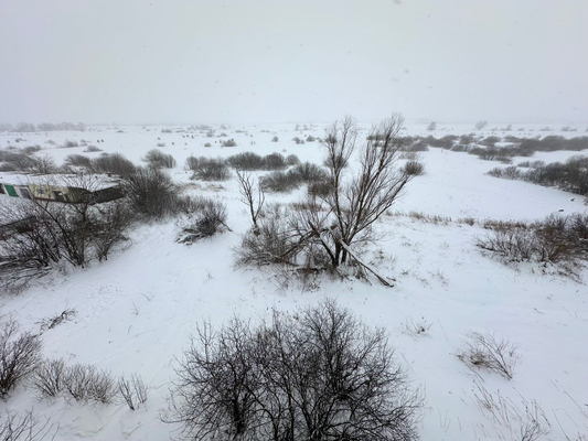 Продам однокомнатную (1-комн.) квартиру, 4, Дружный п