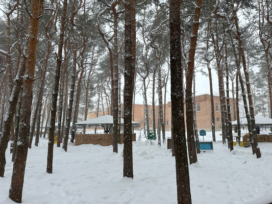 Продам однокомнатную (1-комн.) квартиру, 4, Дружный п