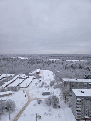 Продам двухкомнатную (2-комн.) квартиру, Мира ул, 45, Сыктывкар г