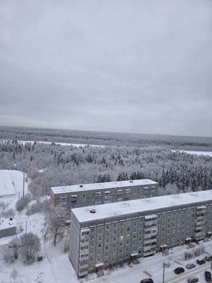 Продам двухкомнатную (2-комн.) квартиру, Мира ул, 45, Сыктывкар г