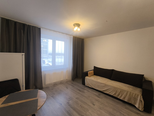 Сдам однокомнатную (1-комн.) квартиру, Тихая ул, 9к3, Бугры п