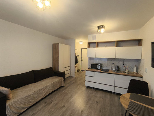 Сдам однокомнатную (1-комн.) квартиру, Тихая ул, 9к3, Бугры п