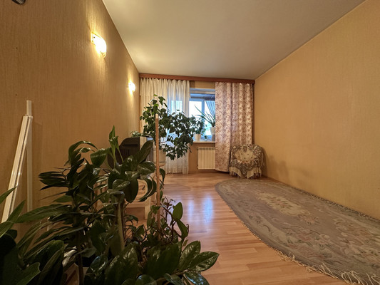 Продам однокомнатную (1-комн.) квартиру, Народная ул, 68к2, Санкт-Петербург г