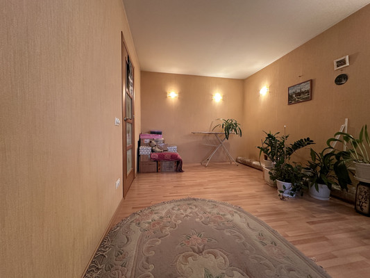 Продам однокомнатную (1-комн.) квартиру, Народная ул, 68к2, Санкт-Петербург г