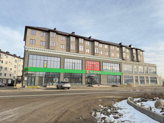 Продам однокомнатную (1-комн.) квартиру, Каменская ул, 100, Шалушка с