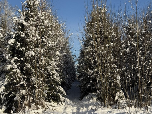 Продам дом, Патриот снт, Тешилово д, 0 км от города