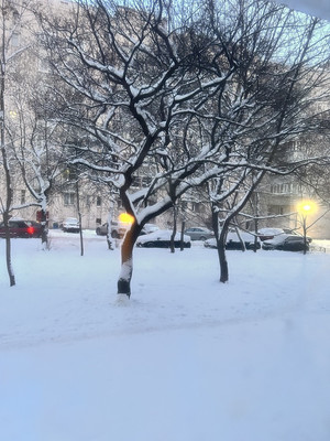 Продам двухкомнатную (2-комн.) квартиру, Варшавская ул, 65А, Санкт-Петербург г