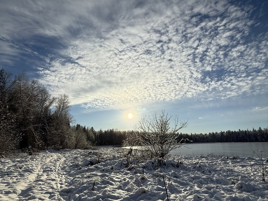 Продам дом, Патриот снт, Тешилово д, 0 км от города