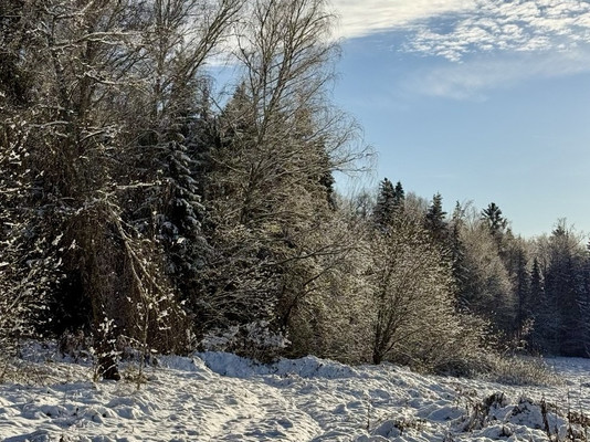 Продам дом, Патриот снт, Тешилово д, 0 км от города