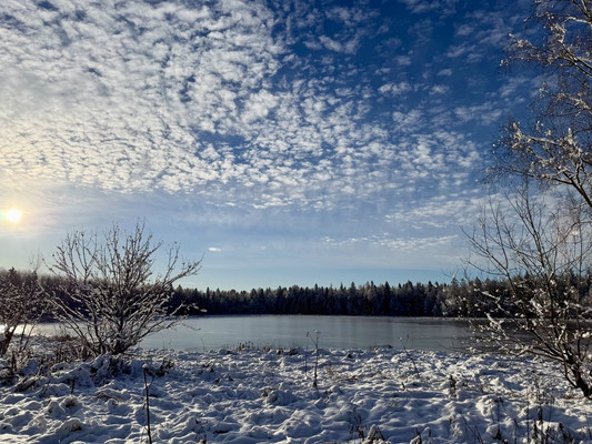 Продам дом, Патриот снт, Тешилово д, 0 км от города