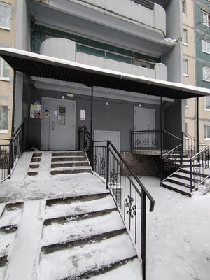 Продам однокомнатную (1-комн.) квартиру, Королёва пр-кт, 24к1, Санкт-Петербург г