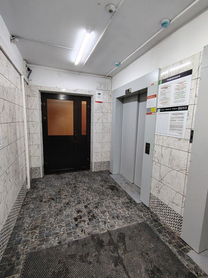 Продам однокомнатную (1-комн.) квартиру, Королёва пр-кт, 24к1, Санкт-Петербург г