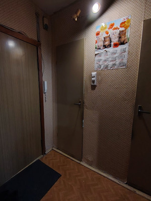 Продам однокомнатную (1-комн.) квартиру, Королёва пр-кт, 24к1, Санкт-Петербург г