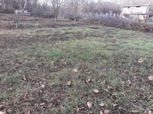 Продам участок 9,76 соток, Фермерское хоз., Медик снт, Лозовое с, 0 км от города