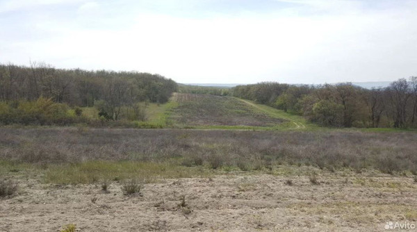 Продам землю для коммерческого использования 534 соток, Фермерское хоз., Белокаменное с