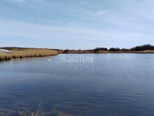 Продам дом, Колхозная ул, 37, Скобелевская ст-ца, 0 км от города