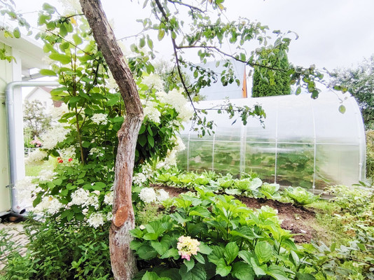 Продам дом, СНТ Полянка Наро-Фоминский леспромхоз тер, Александровка п, 0 км от города