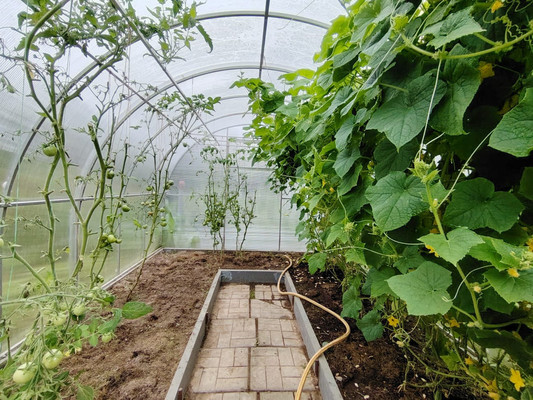 Продам дом, СНТ Полянка Наро-Фоминский леспромхоз тер, Александровка п, 0 км от города