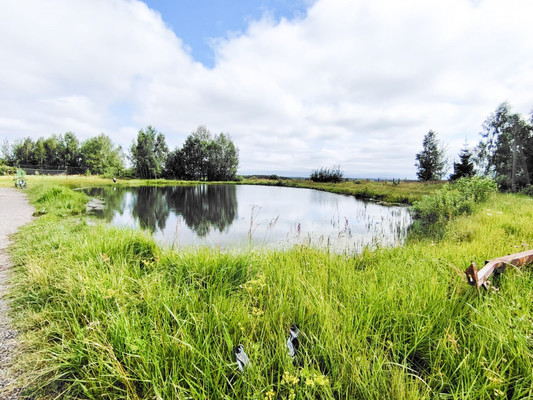 Продам дом, СНТ Полянка Наро-Фоминский леспромхоз тер, Александровка п, 0 км от города