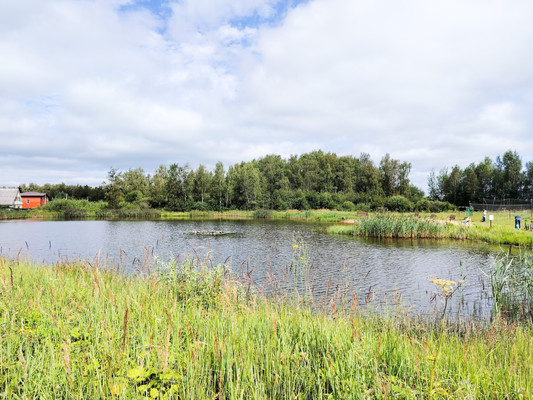 Продам дом, СНТ Полянка Наро-Фоминский леспромхоз тер, Александровка п, 0 км от города