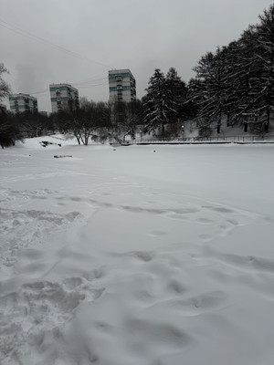 Продам трехкомнатную (3-комн.) квартиру, Бехтерева ул, 41к3, Москва г