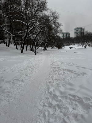 Продам трехкомнатную (3-комн.) квартиру, Бехтерева ул, 41к3, Москва г