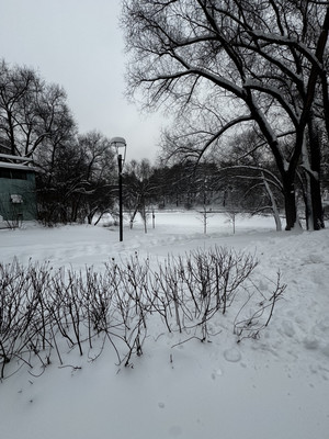 Продам трехкомнатную (3-комн.) квартиру, Бехтерева ул, 41к3, Москва г